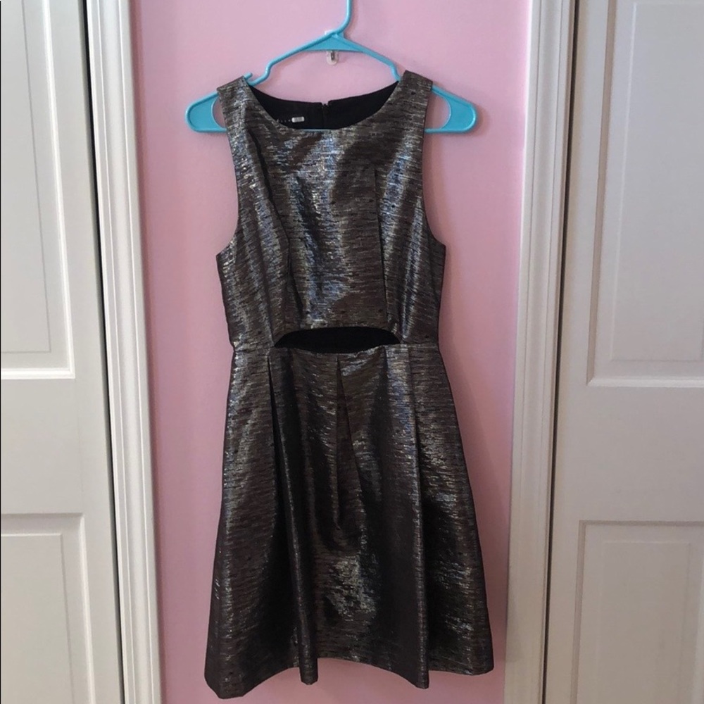 NWOT Slate and Willow Metallic Dress
